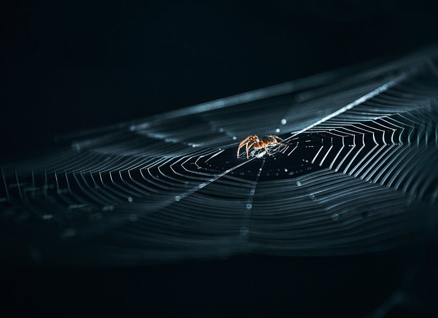 3 Key Elements Defining Modern Web Aesthetics