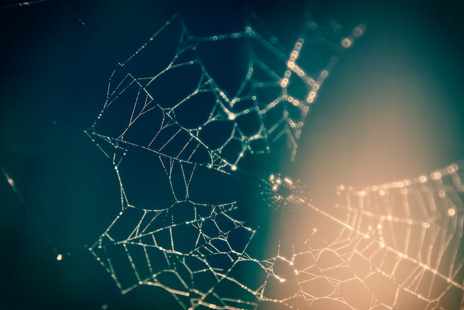 Modern Abstract Web: Decoding the Next Era of Digital Design